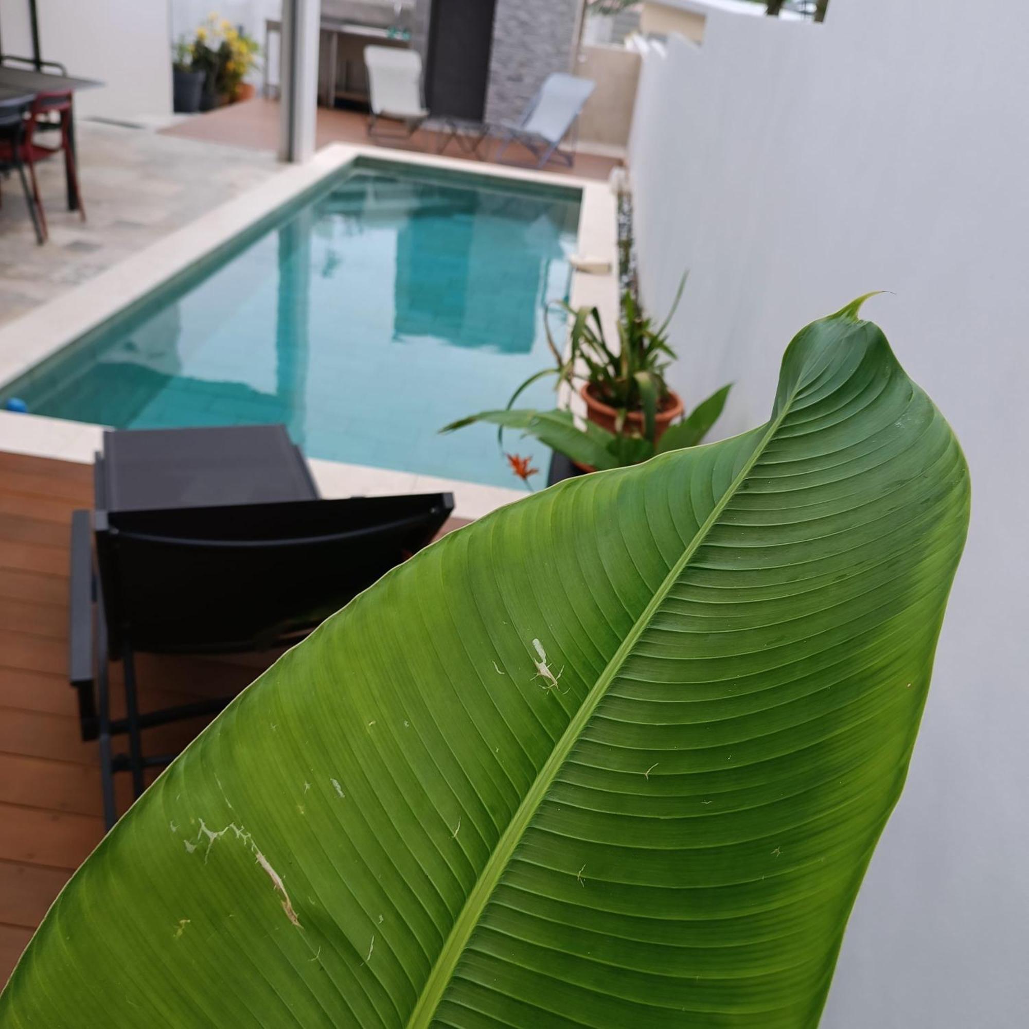 Villa O'Lhaya Piscine Pivee Saint-Joseph Esterno foto