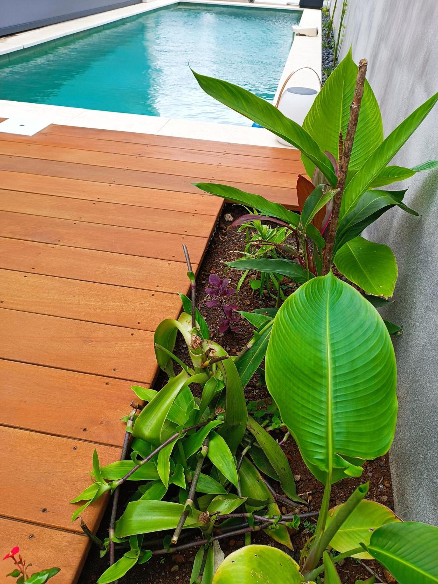Villa O'Lhaya Piscine Pivee Saint-Joseph Esterno foto